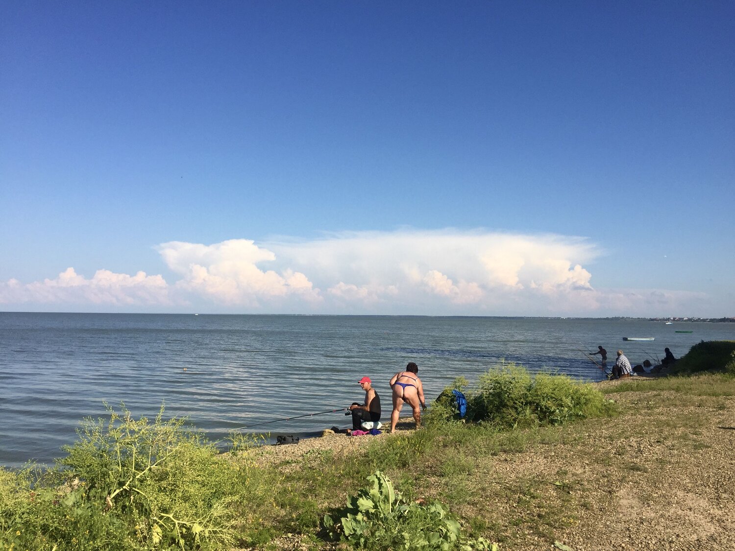 Photo #13853045
