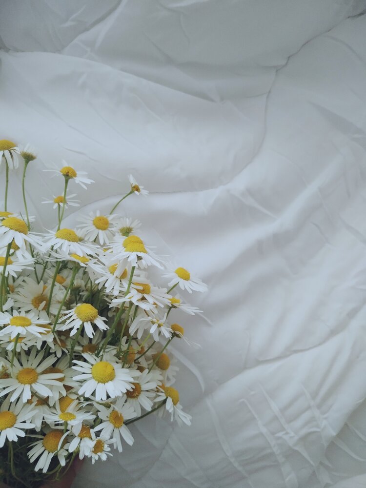 Photograph by Алёна Кибичеева