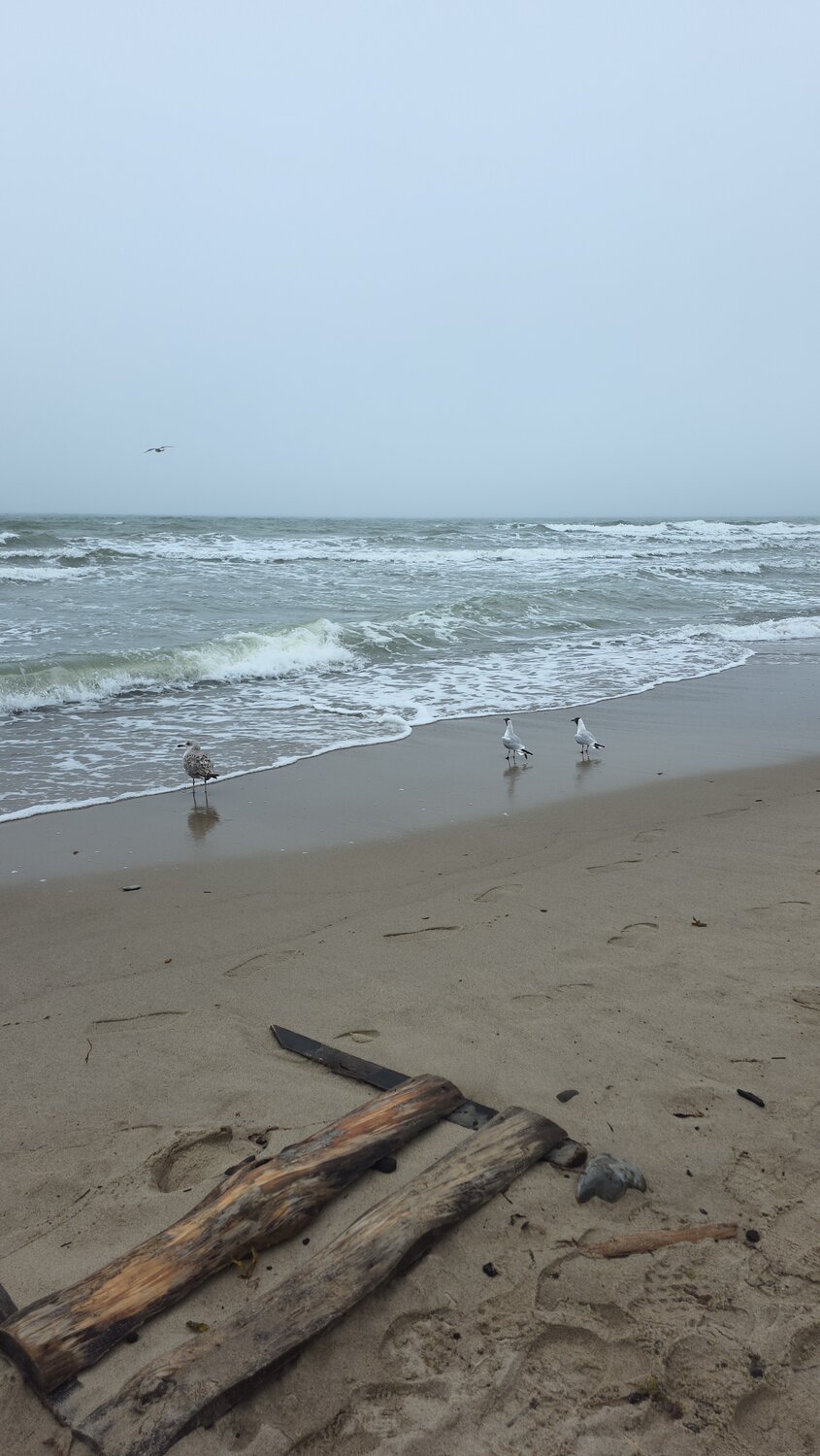 Photo #13853136