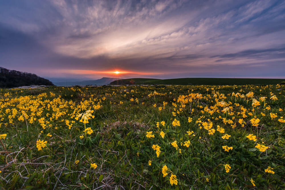 Photograph by Григорова Мария
