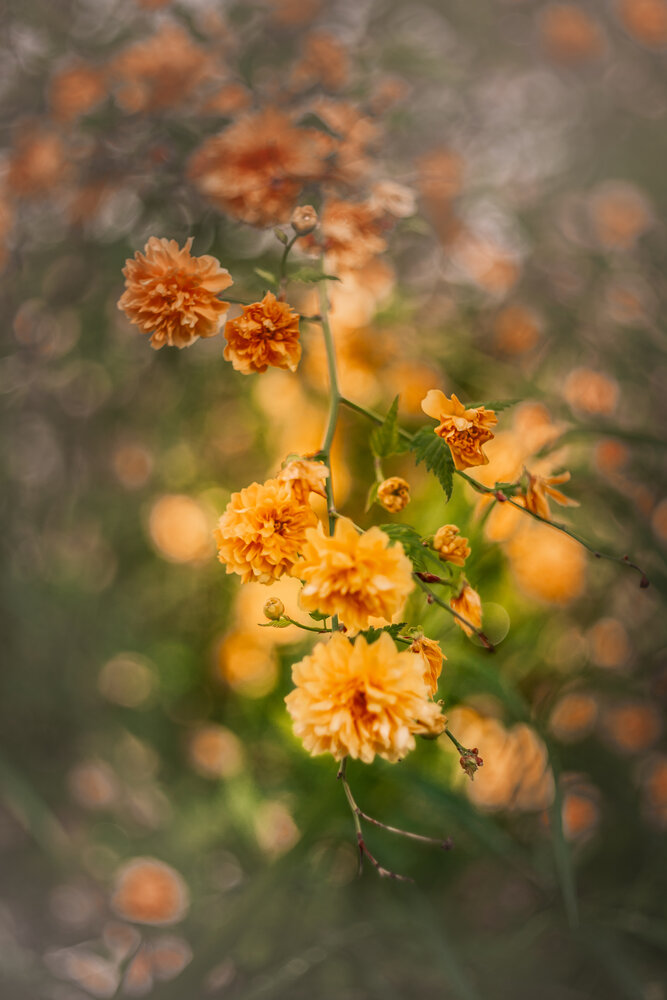 Photograph by Григорова Мария