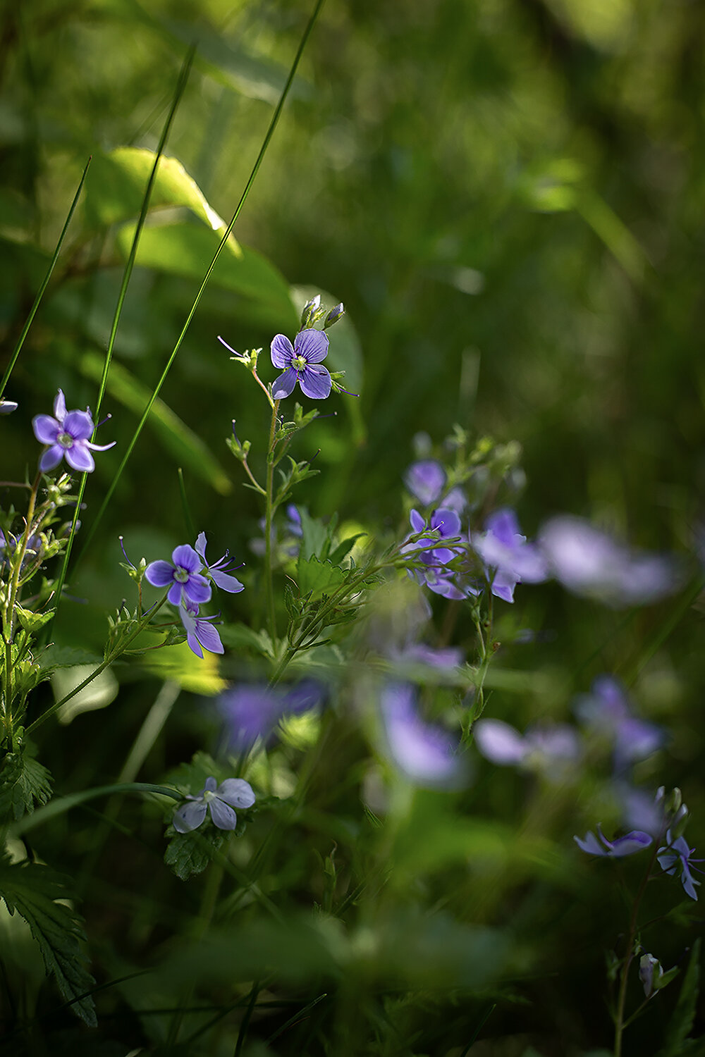 Photo #13853192