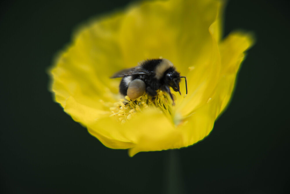 Photograph by Екатерина Кальченко