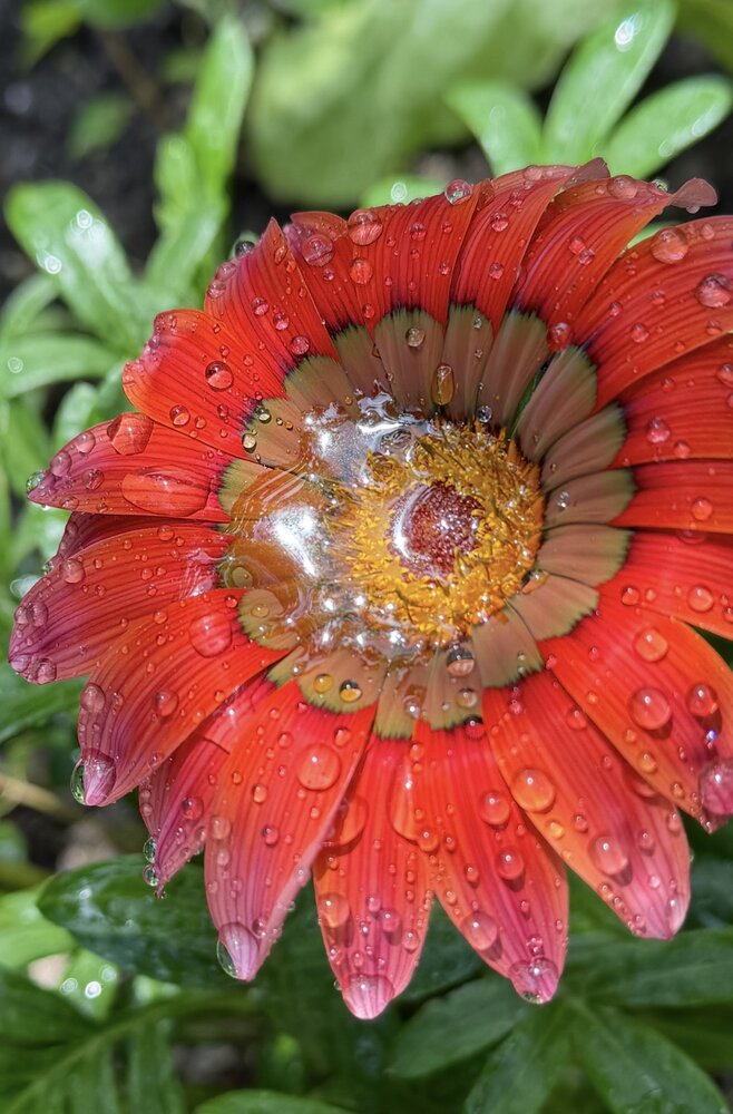 Фотография автора Юлия