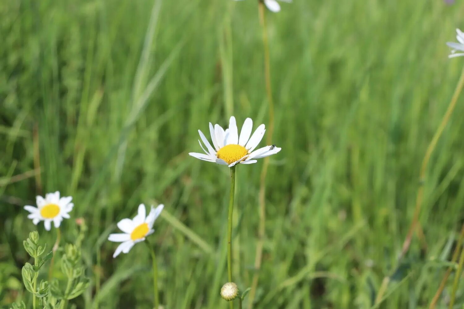 Photo #13853241