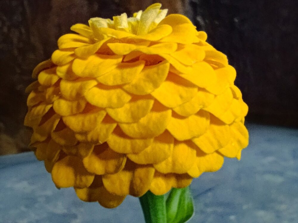 Photograph by Юрий Гордеев