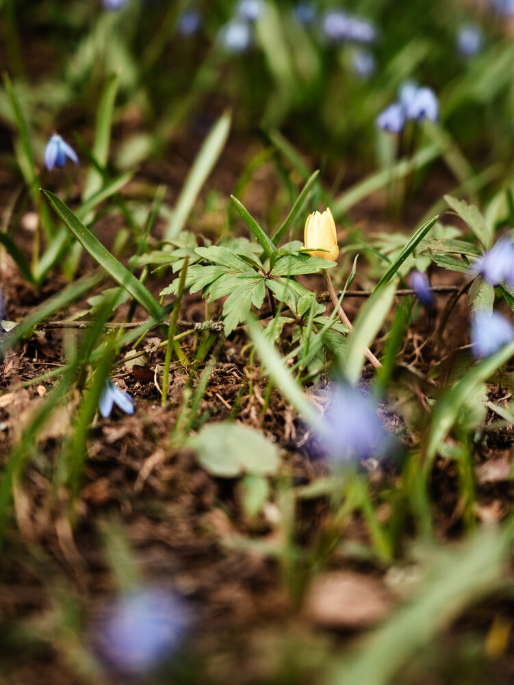Photograph by Виктория Максюта