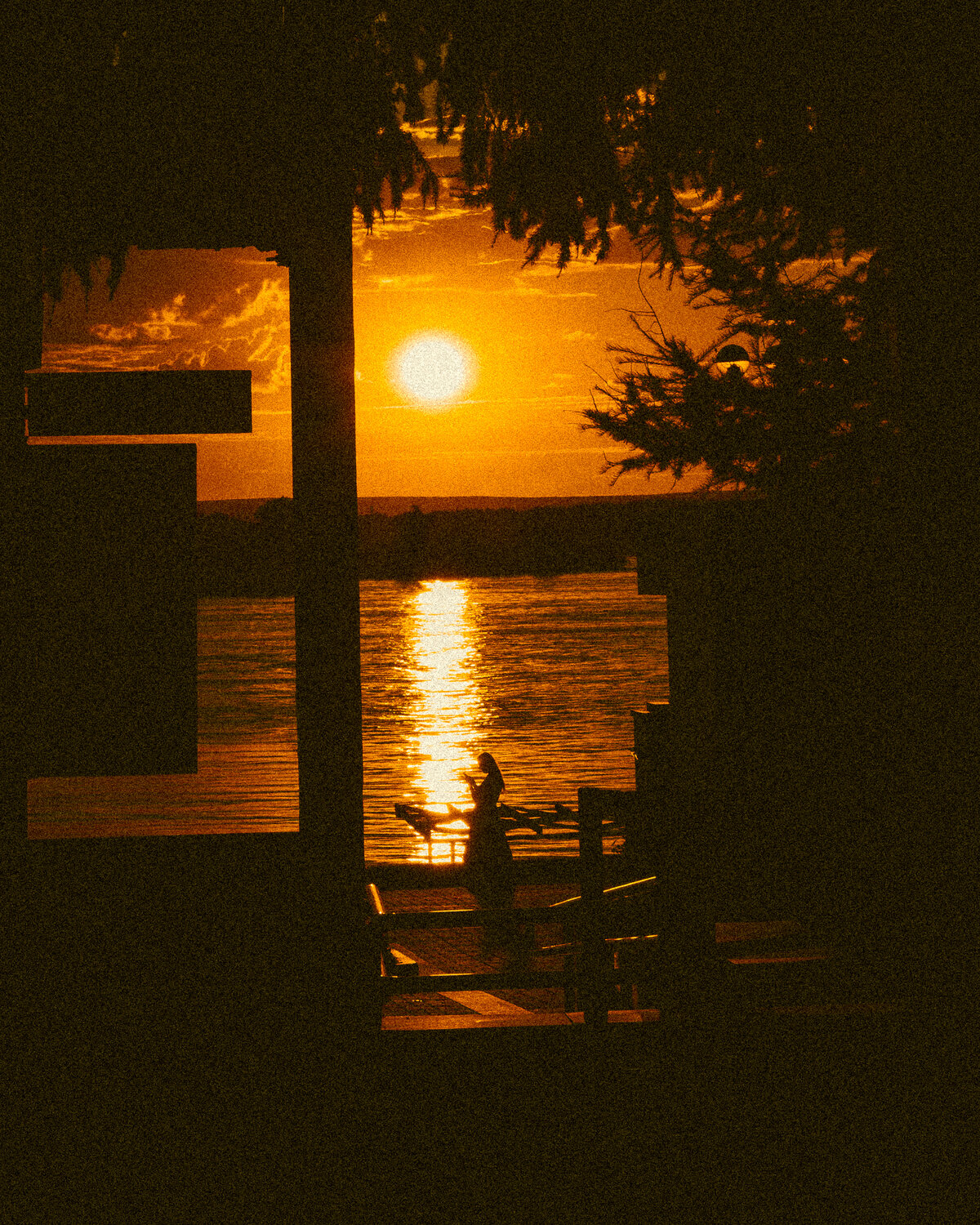 Photo #13853295