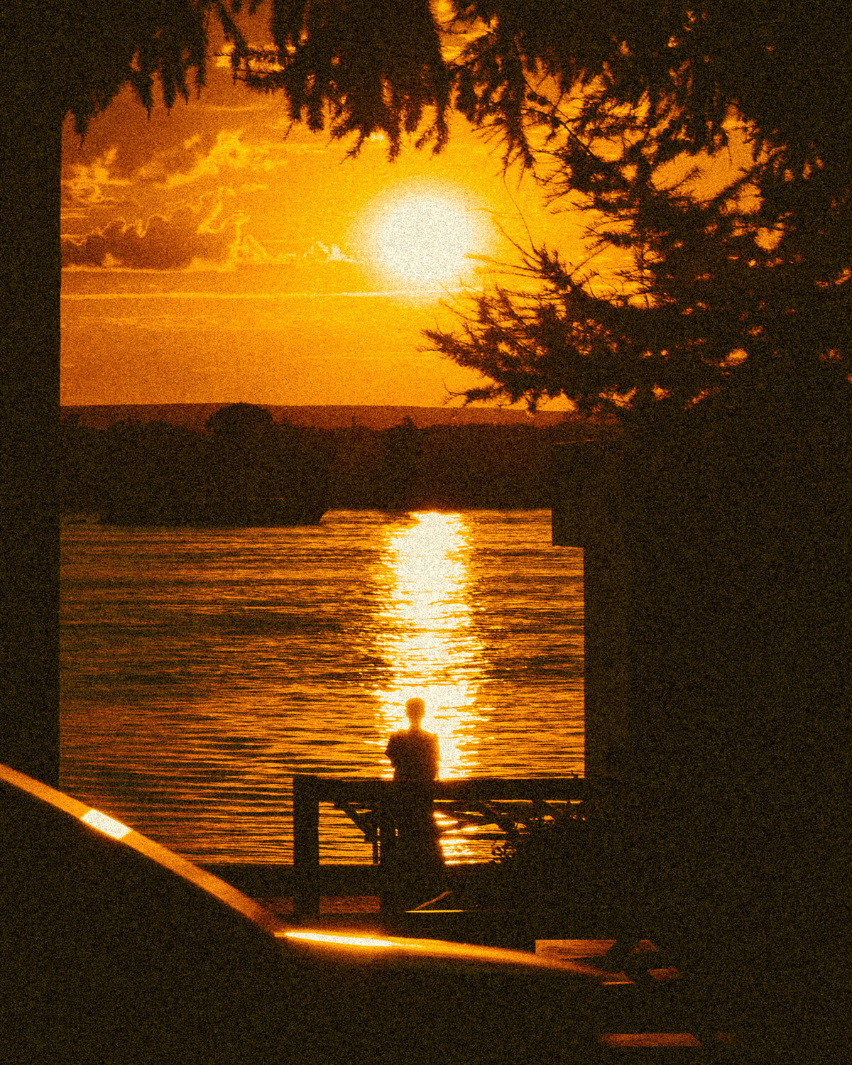 Photo #13853300