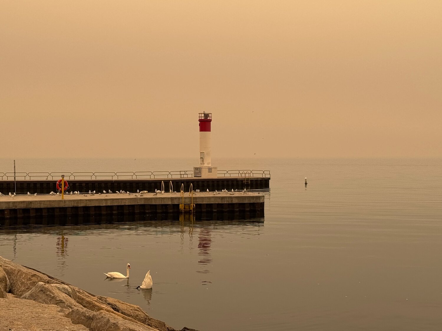 Wild Fires on the North 2