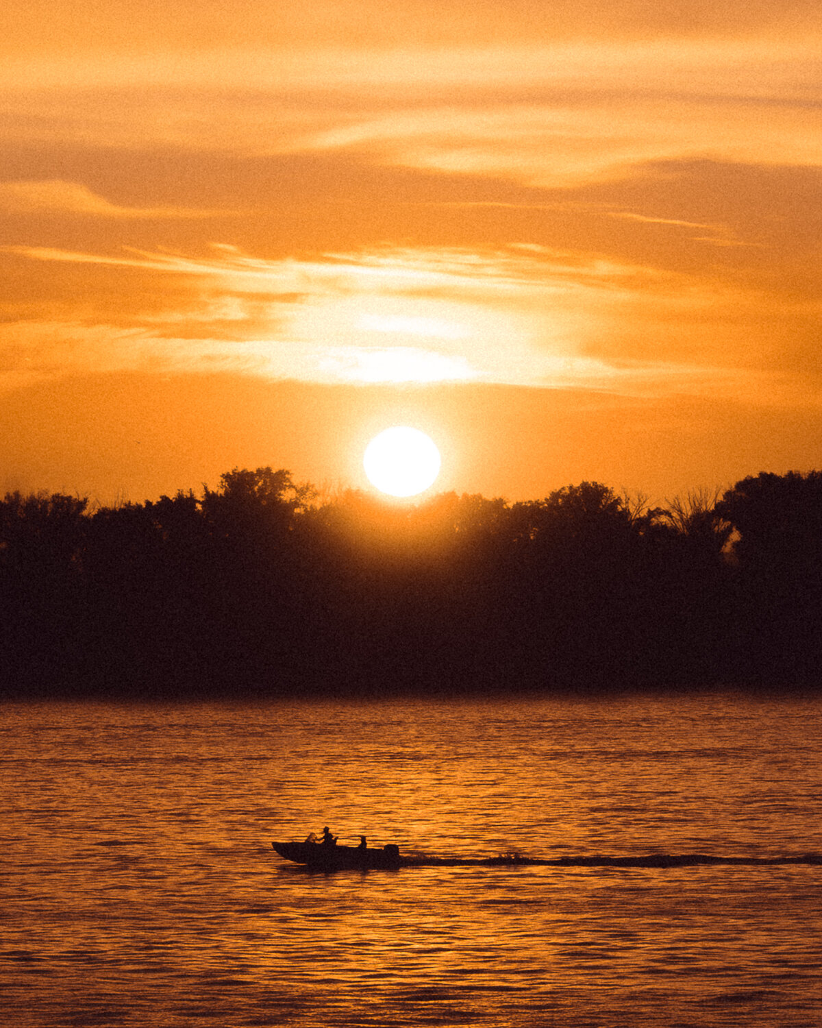 Photo #13853306