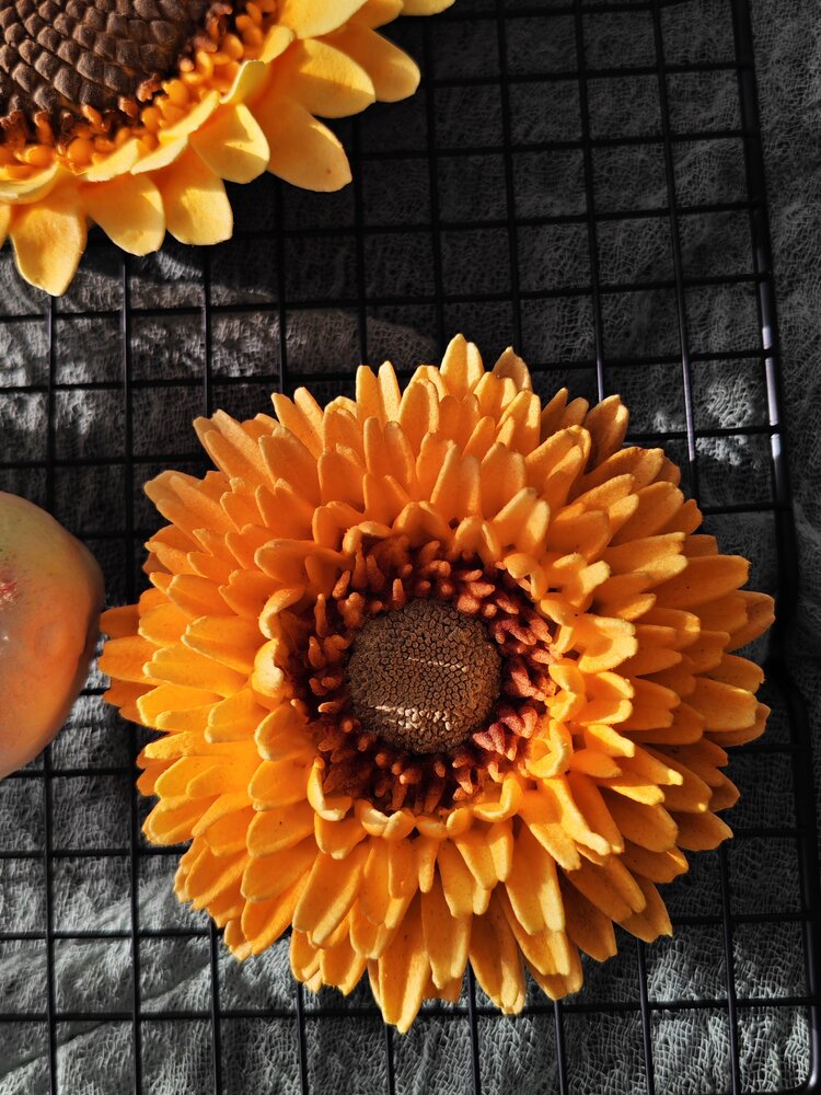 Photo #13853308