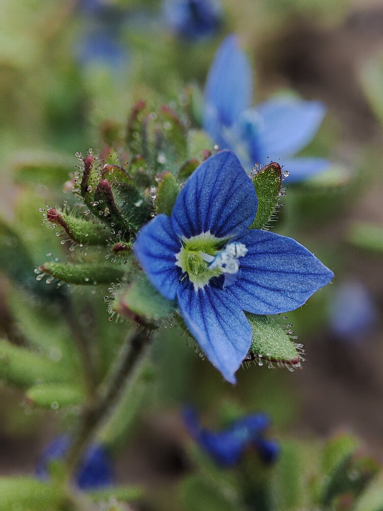 Photograph by Аліна Слишик