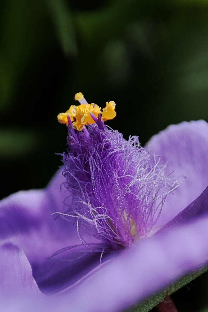 Photograph by Аліна Слишик