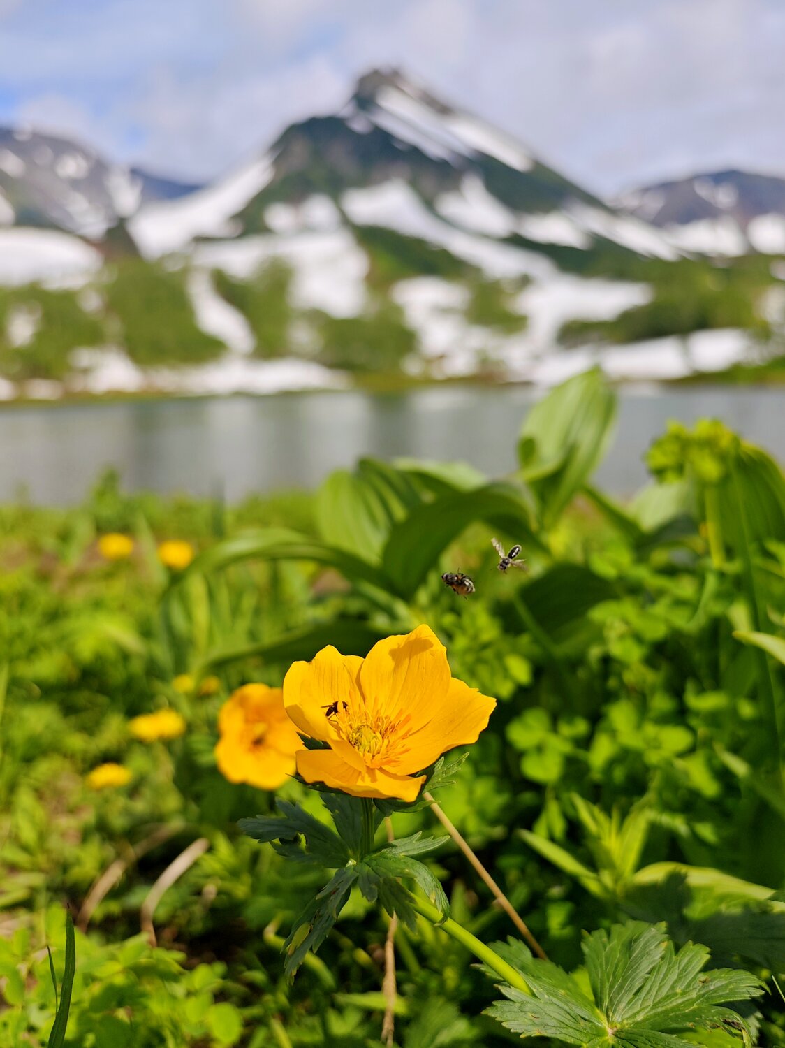 Photo #13853363