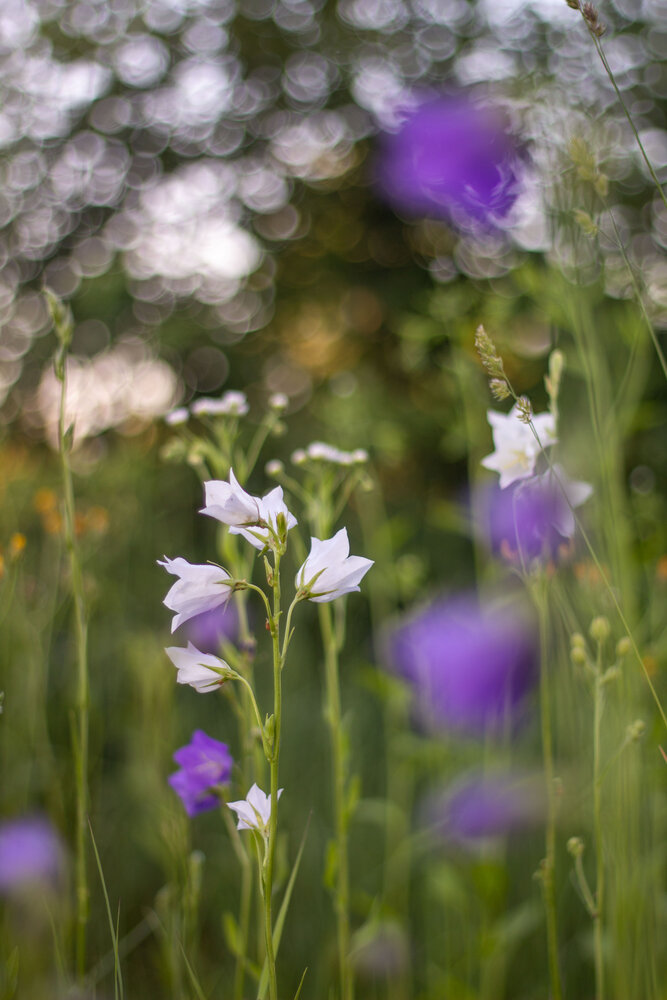Photograph by Екатерина Ракова