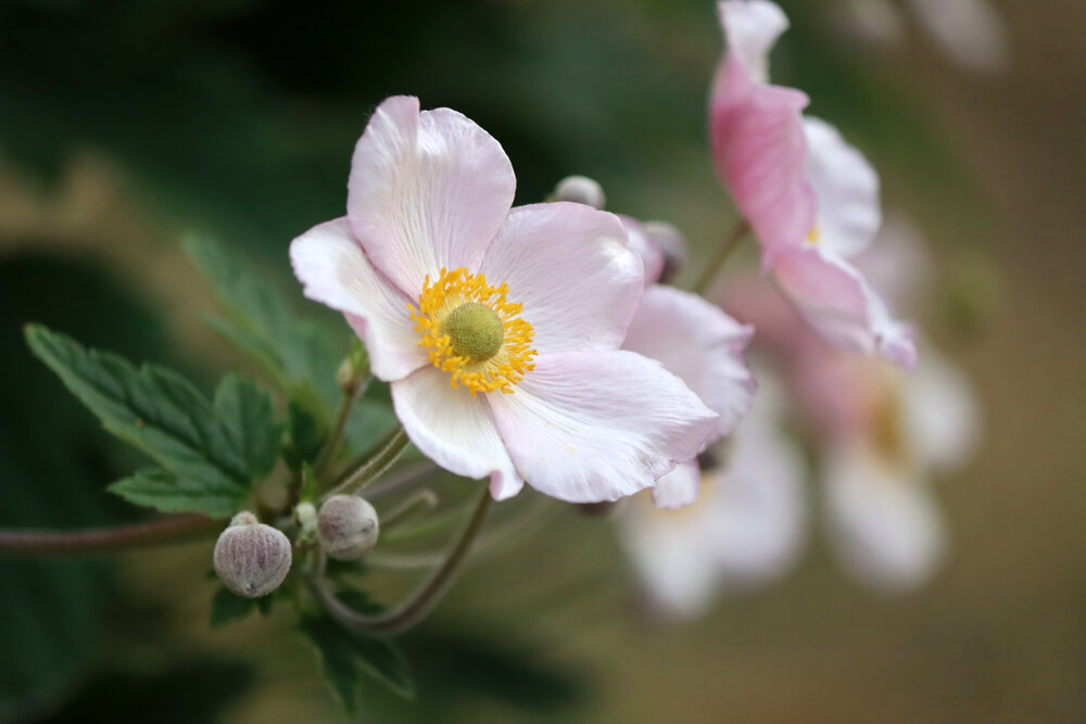 Photograph by Татьяна Сычёва