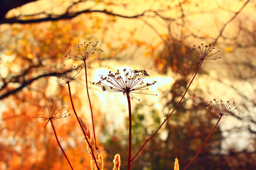 Photograph by Наталья Мячикова