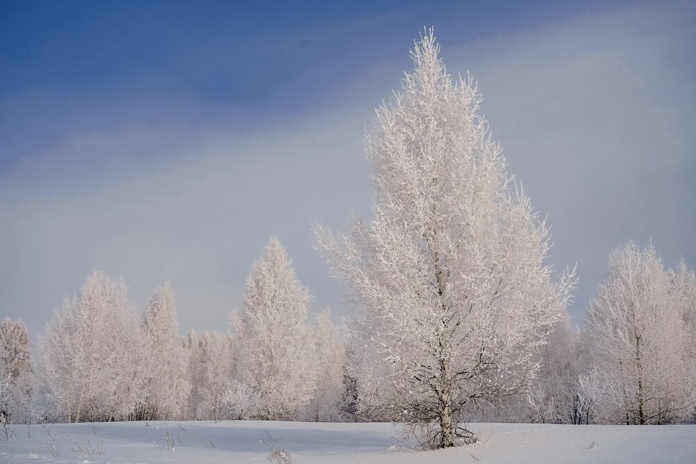 Photograph by Julia Andreeva