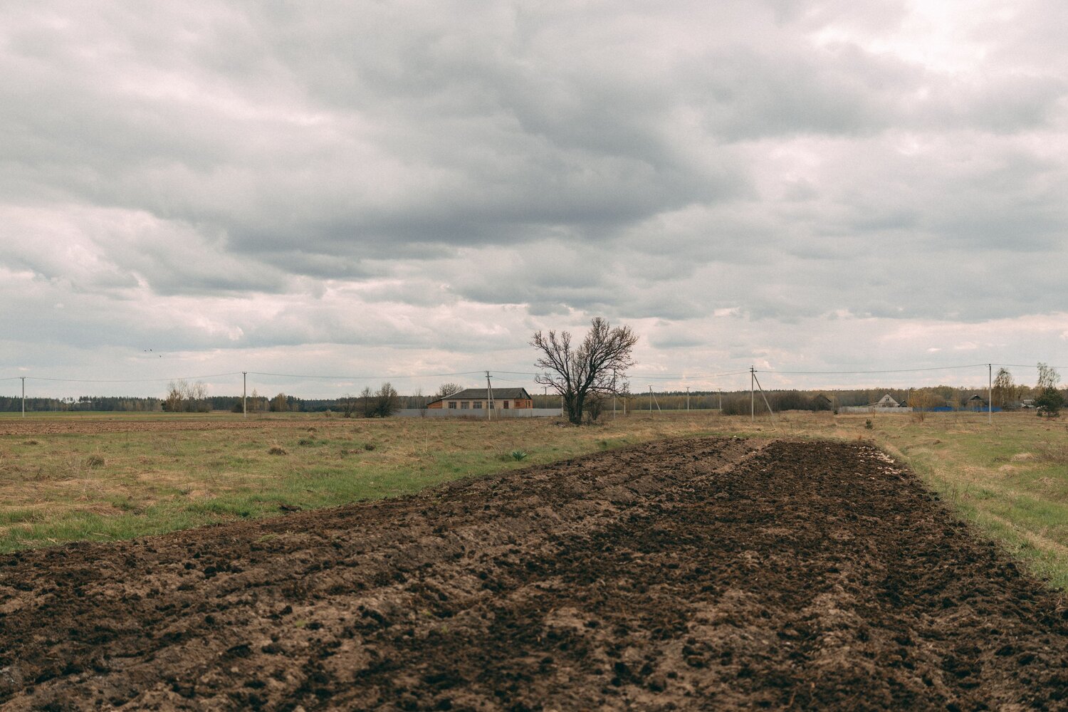 Photo #13853445