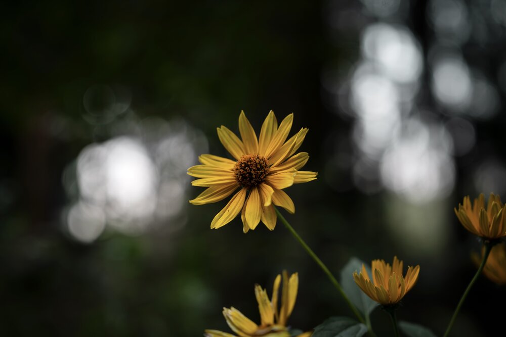 Photograph by Misha Bondarev