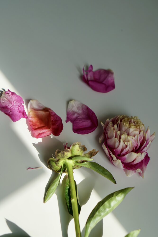 Photograph by Оксана