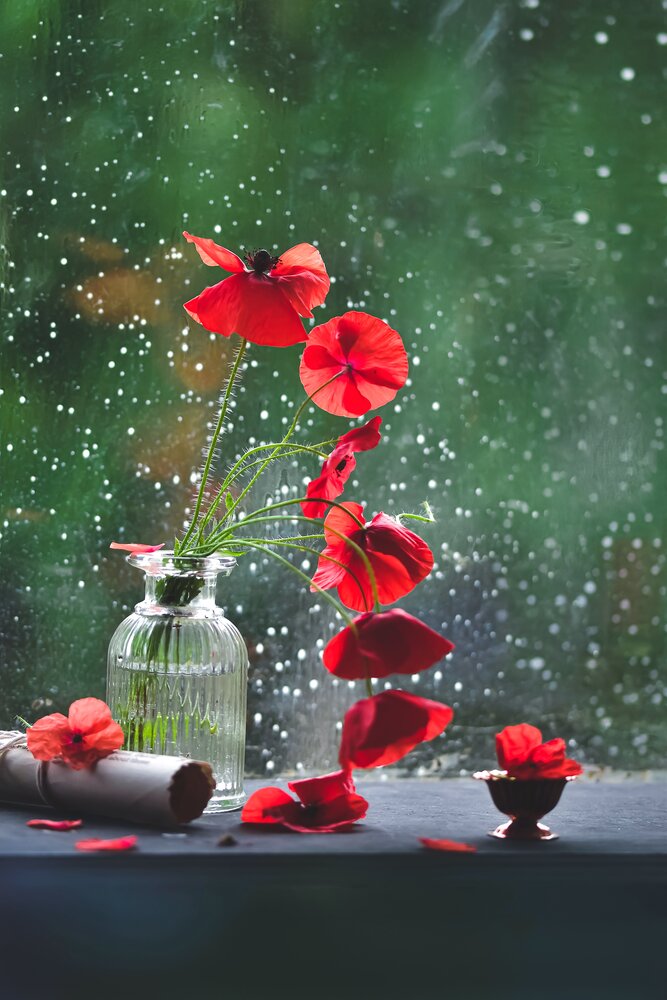 Photograph by Mansura Akter