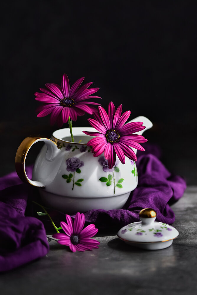Фотография автора Mansura Akter