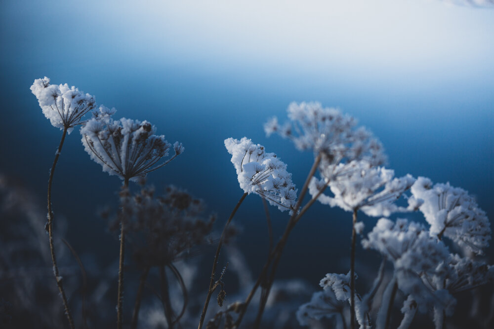 Photograph by Александр Салякаев