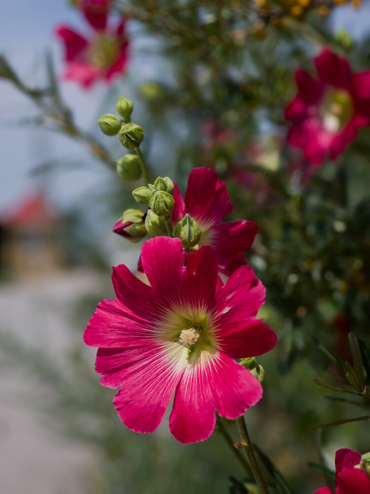 Photograph by Лилия Фролова