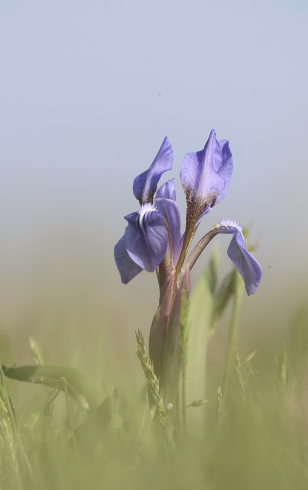Photograph by Одаренко Ольга