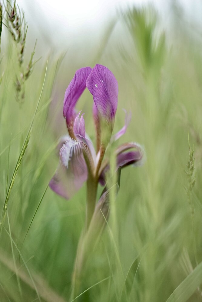 Photograph by Одаренко Ольга