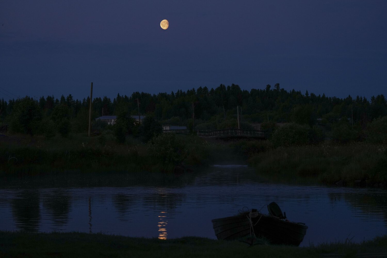 Photo #13853660