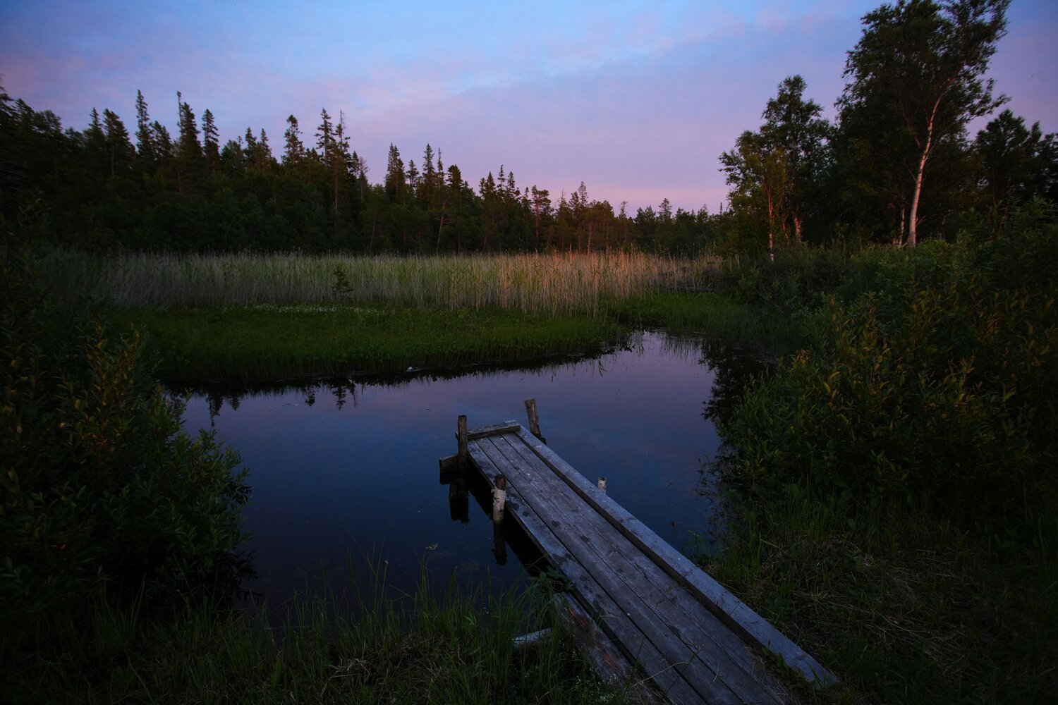 Photo #13853661