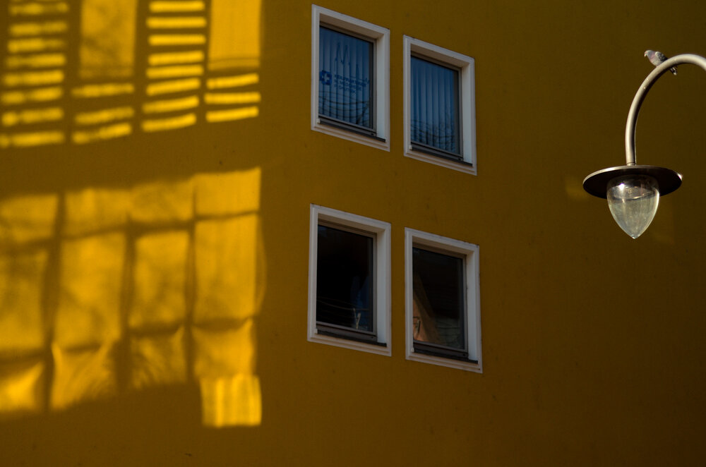 Photo #13853664