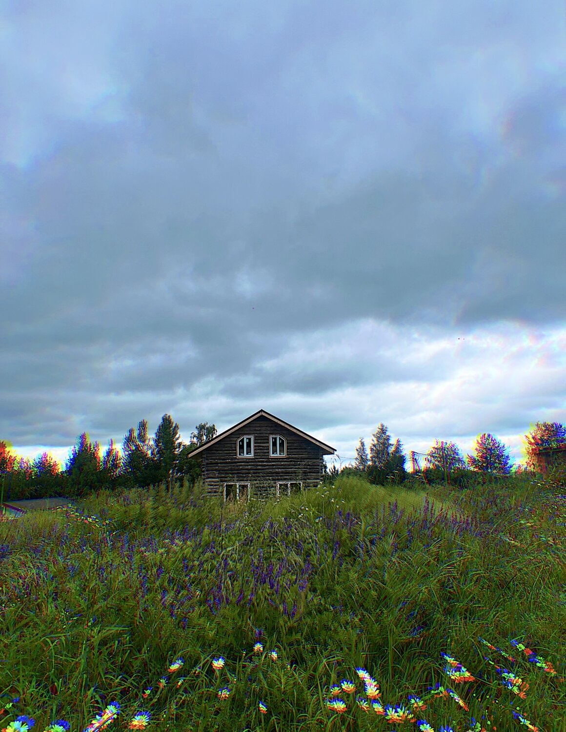 Photo #13853665