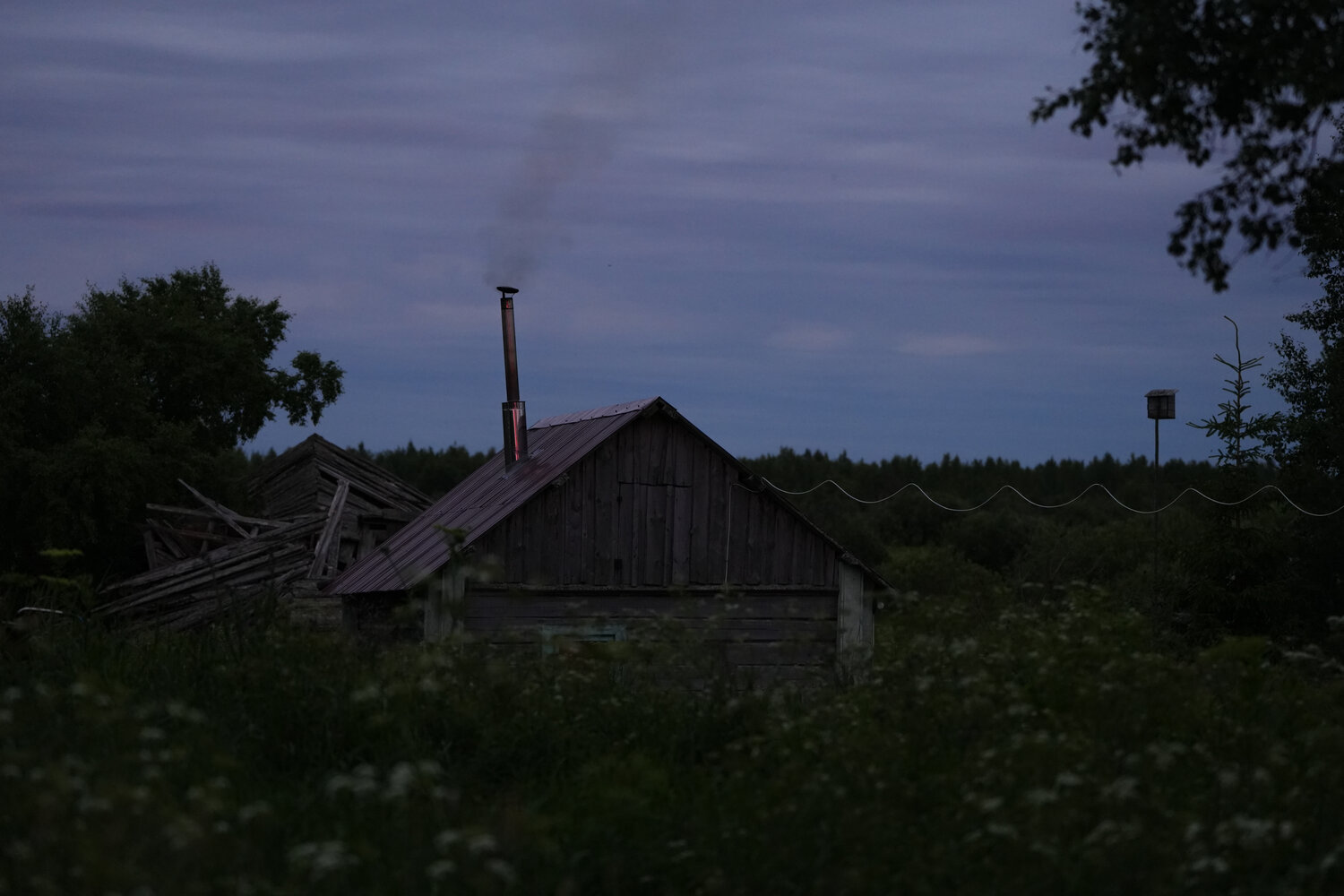 Photo #13853666