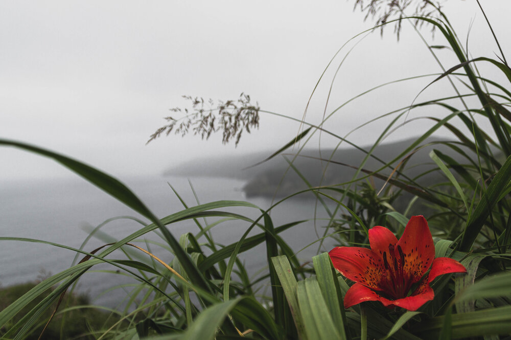 Photograph by Александр Салякаев