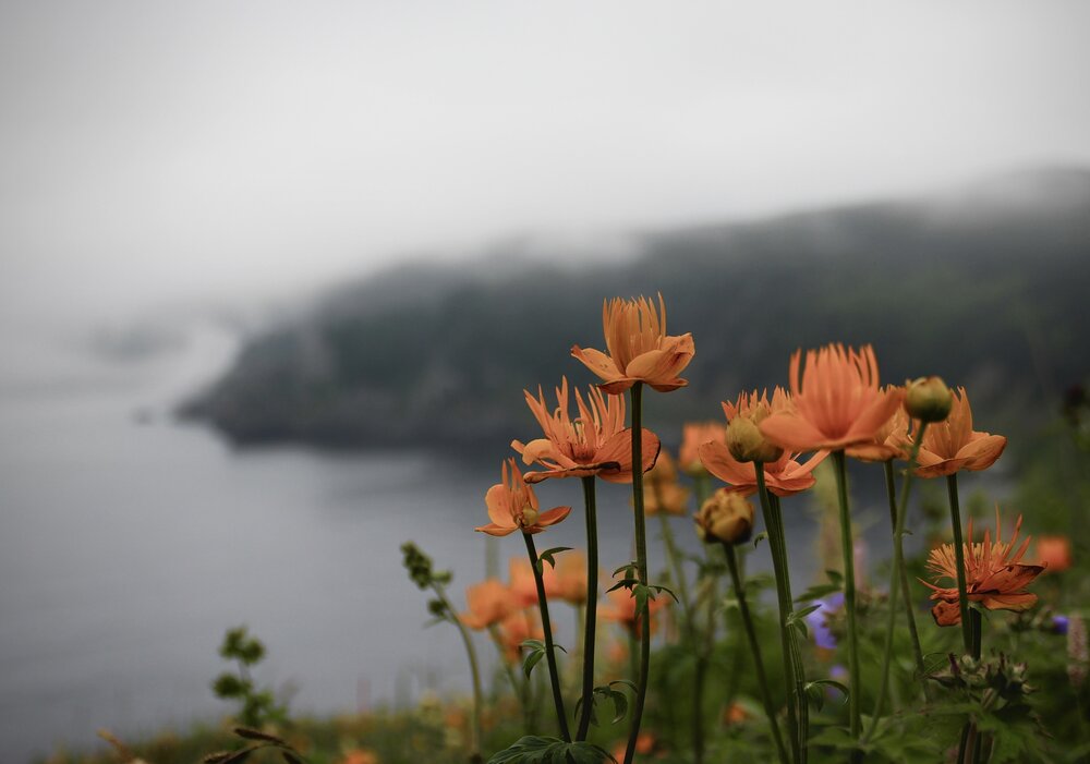 Photograph by Александр Салякаев