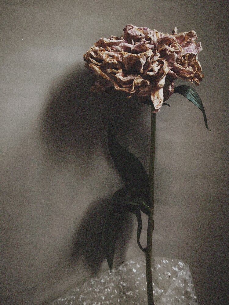 Photograph by Олеся Хижко