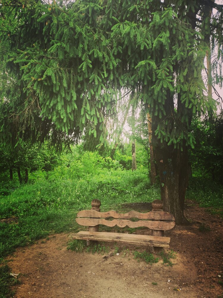 Photograph by Ирина Савина