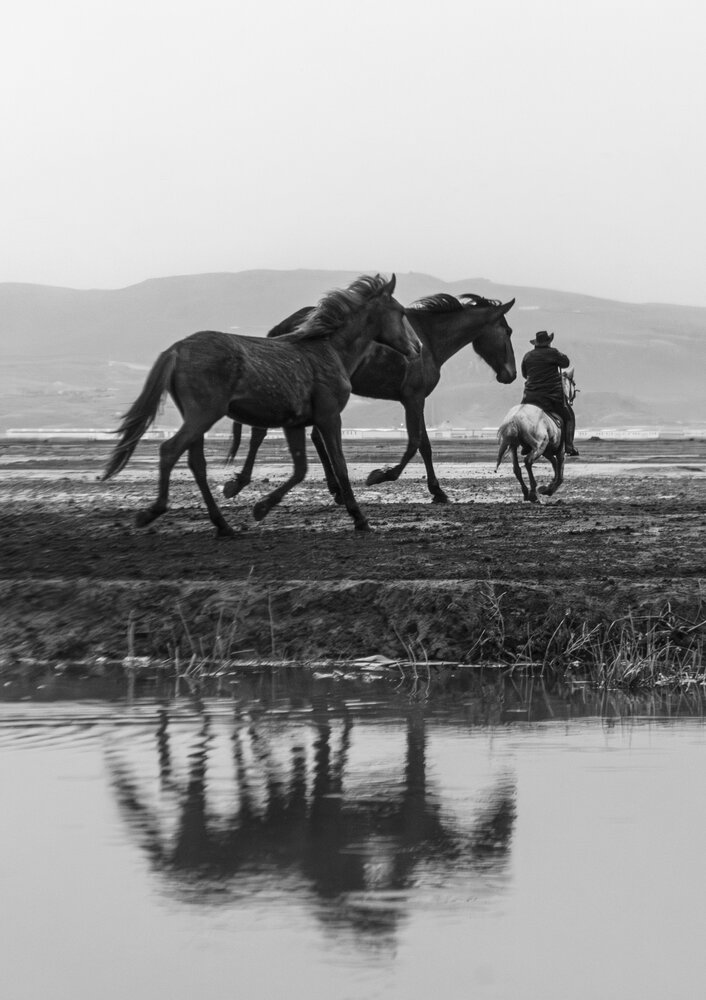 Photograph by MOJDEH NOROUZI