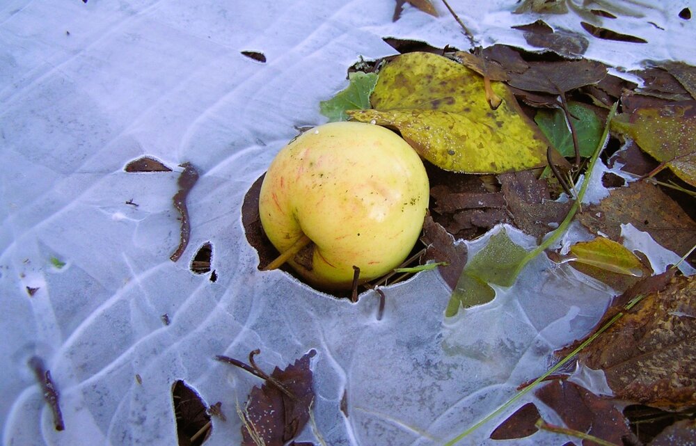 Photograph by Ирина Арканова
