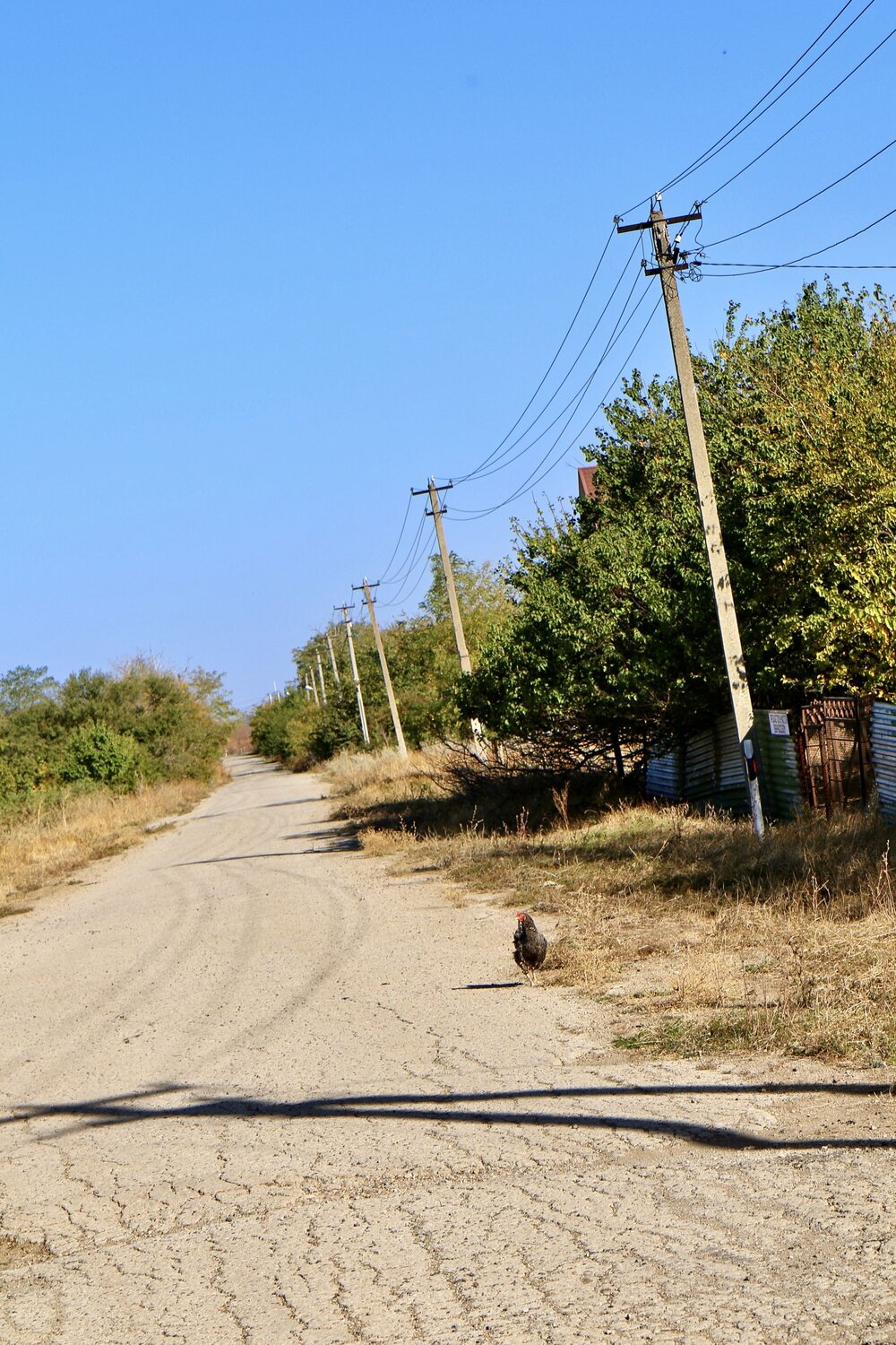 Photo #13853757