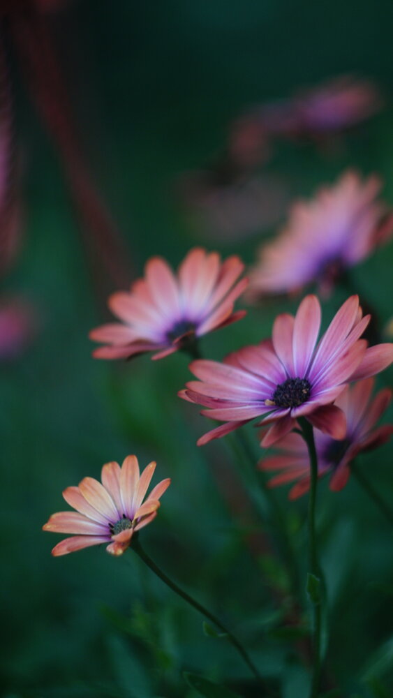 Photograph by Дмитрий Кирсанов