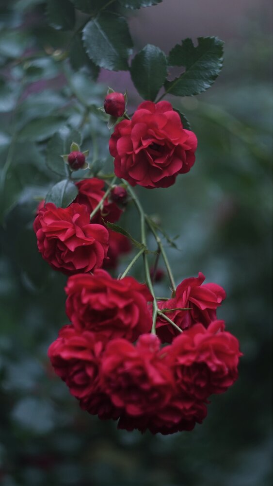 Photograph by Дмитрий Кирсанов