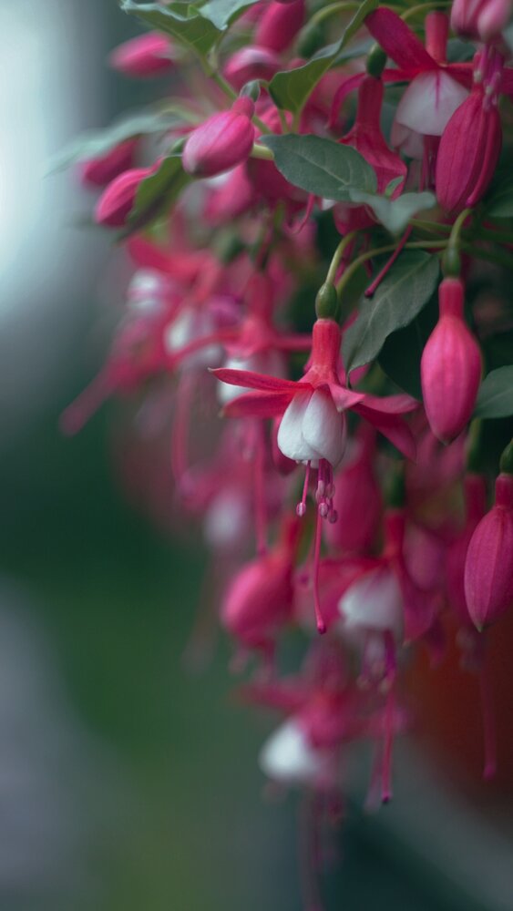 Photograph by Дмитрий Кирсанов