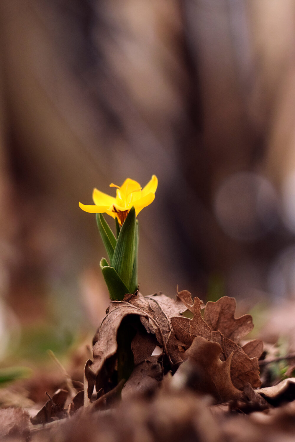 Photo #13853815