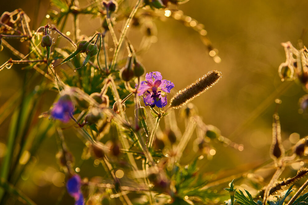 Photograph by Константин Федяев