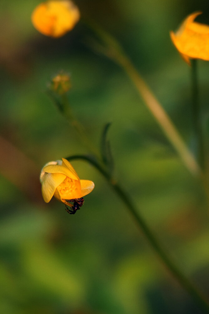 Photograph by Марина Крюкова